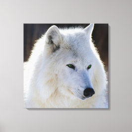 Impressão Em Tela Canvas/Lobo Branco Verde