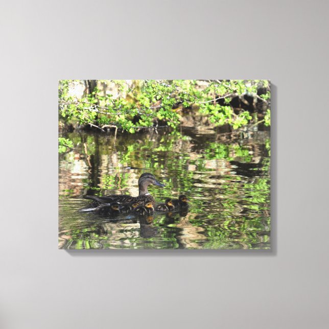 Impressão Em Tela Canvas: Pato de Mallard e Patos (Frente)