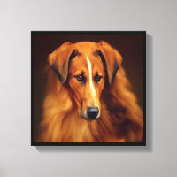 Cão Bakharwal - Retrato de Cachorro