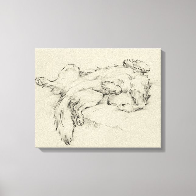 Impressão Em Tela Cão Cansado (Frente)