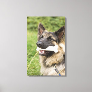 Impressão Em Tela Cão com osso