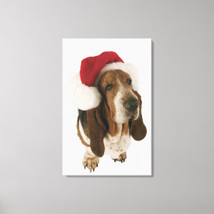 Impressão Em Tela Cão de Basset no chapéu do papai noel