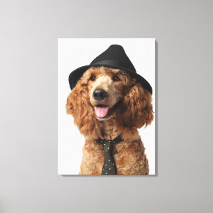 Impressão Em Tela Cão de caniche dourado que veste o chapéu e o la