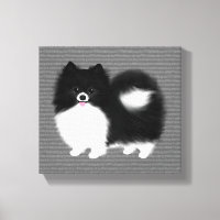 Cão de Cartoon Negro e Branco da Pomerânia