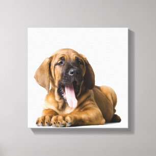 Impressão Em Tela Cão de filhote de cachorro