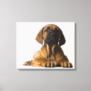 Impressão Em Tela Cão de filhote de cachorro 2