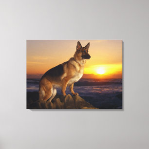 Impressão Em Tela Cão de german shepherd