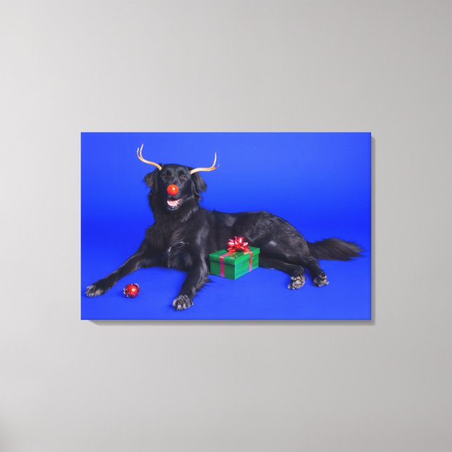 Impressão Em Tela Cão de Natal (Frente)