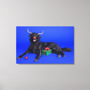 Impressão Em Tela Cão de Natal