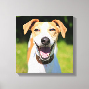 Impressão Em Tela Cão de riso das imagens   de Getty