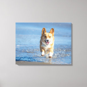 Impressão Em Tela Cão do Corgi de Galês do Pembroke que funciona n
