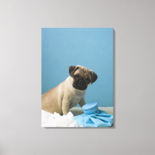 Impressão Em Tela Cão do Pug que senta-se na cama pela garrafa de