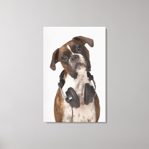 Impressão Em Tela cão do pugilista com fones de ouvido