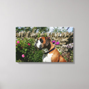Impressão Em Tela Cão do pugilista nas flores