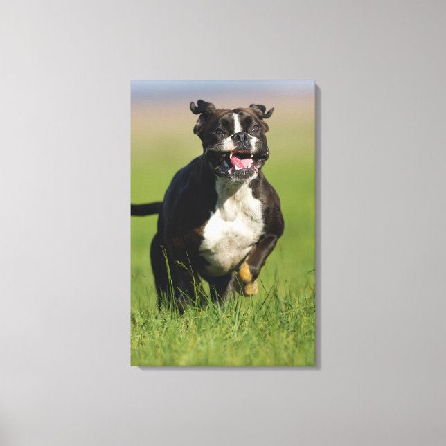 Impressão Em Tela Cão em Execução 2 (Frente)