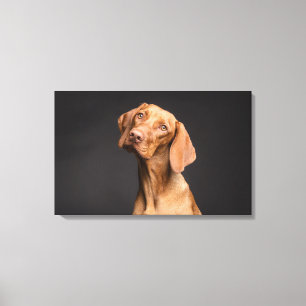 Impressão Em Tela Cão Marrom com Pescoço longo