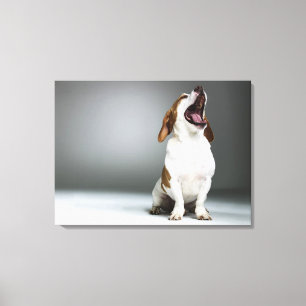 Impressão Em Tela Cão misturado que boceja, fim-acima da raça