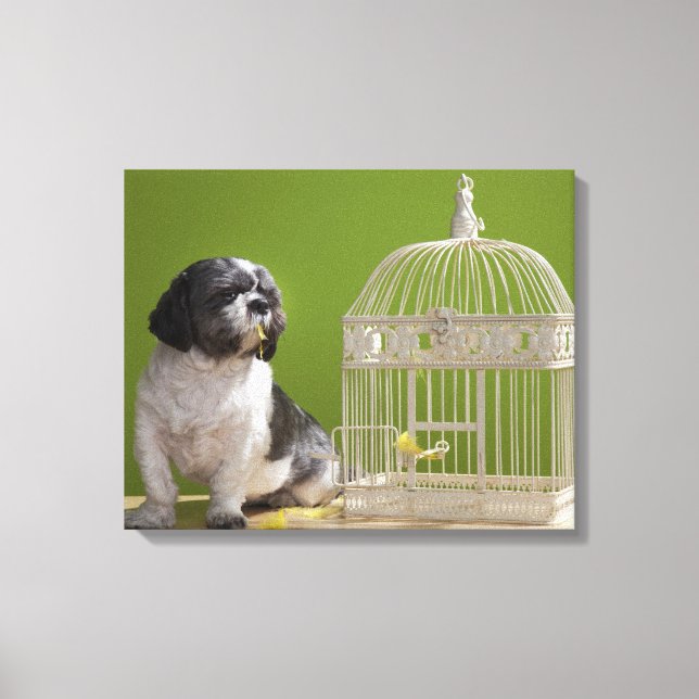 Impressão Em Tela Cão próximo de uma gaiola de pássaros (Frente)