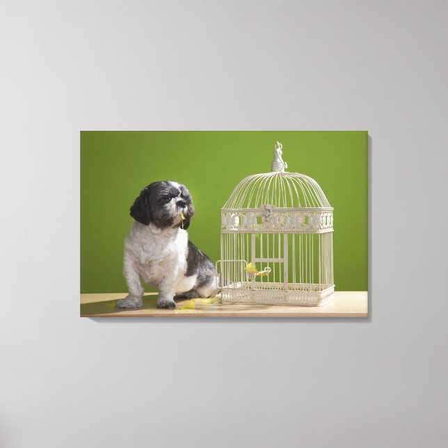 Impressão Em Tela Cão próximo de uma gaiola de pássaros (Frente)