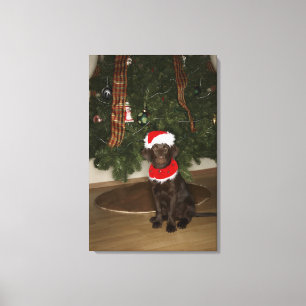 Impressão Em Tela Cão que senta-se por uma árvore de Natal