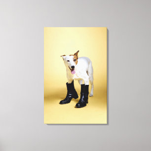 Impressão Em Tela Cão que veste botas