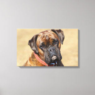 Impressão Em Tela Cão rajado do pugilista