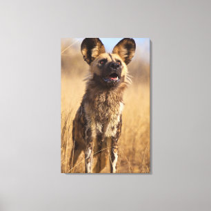 Impressão Em Tela Cão Selvagem Africano Pintado