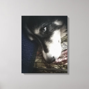 Impressão Em Tela Cão Sonolento
