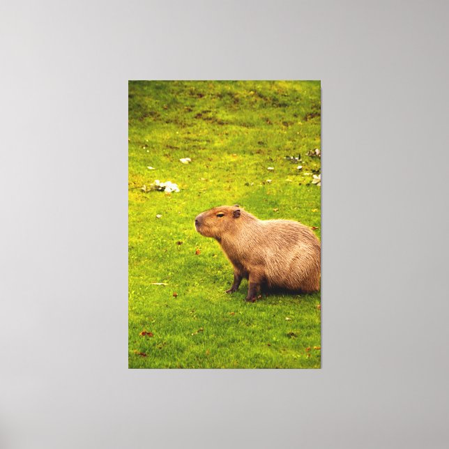 Impressão Em Tela Capivara (Frente)