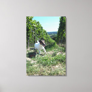 Impressão Em Tela Capo von Oppenheim, Jack Russell Terrier, Cão