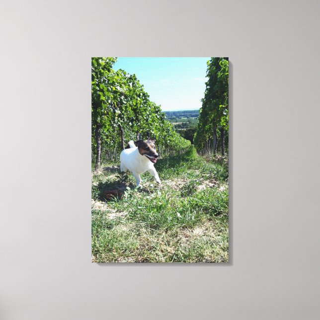 Impressão Em Tela Capo von Oppenheim, Jack Russell Terrier, Cão (Frente)