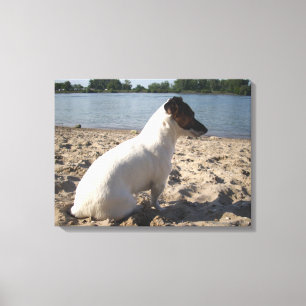 Impressão Em Tela Capo von Oppenheim, Jack Russell Terrier Dog
