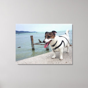 Impressão Em Tela Capo von Oppenheim, Jack Russell Terrier Dog