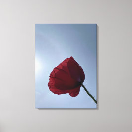 Impressão Em Tela Capoila-vermelha-da-índia com céu de cinza