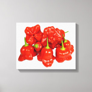 Impressão Em Tela Capsicum Chinense Chili Stretch Print