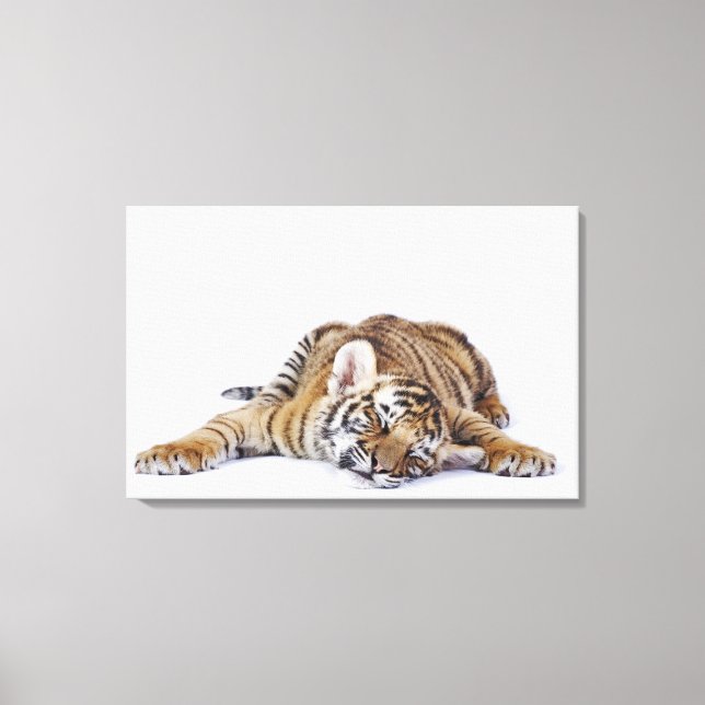 Impressão Em Tela Captive, África do Sul 2 (Frente)