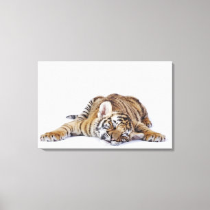 Impressão Em Tela Captive, África do Sul 2