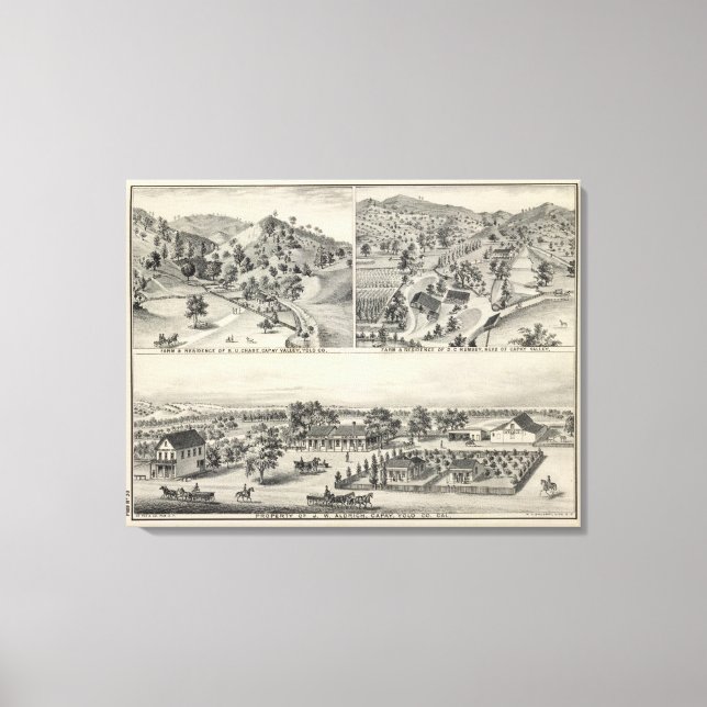 Impressão Em Tela Capturar propriedade (Frente)