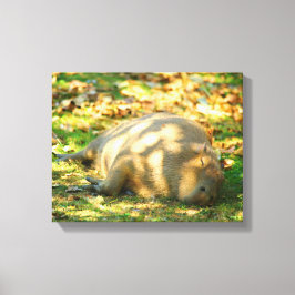 Impressão Em Tela Capybara Fofa Sonha no Sol de Verão