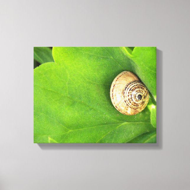 Impressão Em Tela caracol (Frente)