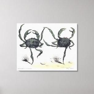 Impressão Em Tela Caranguejos Dançantes Em Roupa
