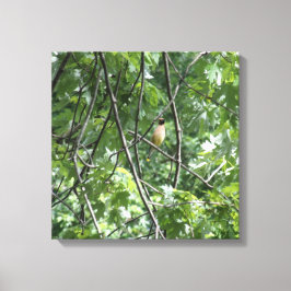 Impressão Em Tela Cardeal amarelo