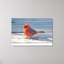 Impressão Em Tela Cardeal Vermelho na Ponte Wooden
