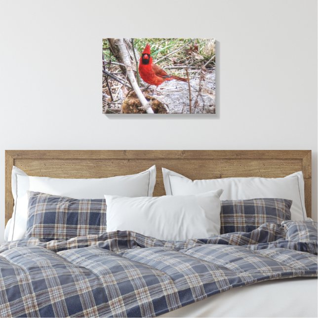 Impressão Em Tela Cardinal Vibrante (Insitu(Quarto))