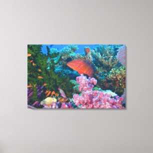 Impressão Em Tela cardume de Anthias squamipinnis (Pseudanthias