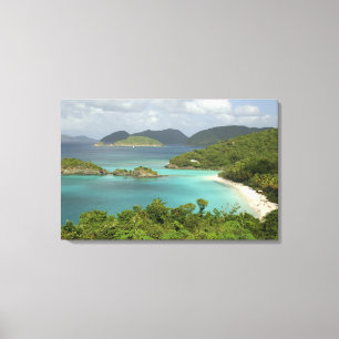 Impressão Em Tela Caribe, Ilhas Virgens dos EUA, St. John, Trunk