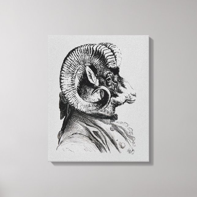 Impressão Em Tela Carneiro De Cabra (Frente)