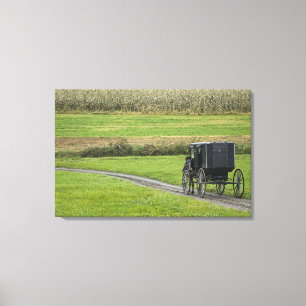 Impressão Em Tela Carrinho Amish em estrada rural, Nordeste de Ohio,