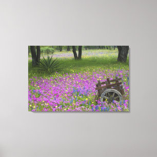 Impressão Em Tela Carrinho de Madeira em campo de Phlox, Blue Bonnet
