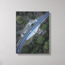carro em estrada na floresta